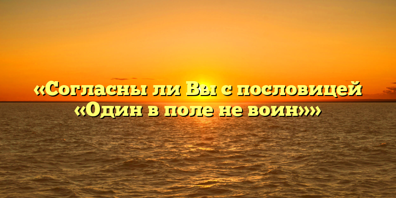 «Согласны ли Вы с пословицей «Один в поле не воин»»