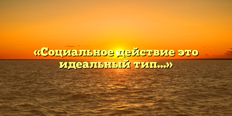 «Социальное действие это идеальный тип…»