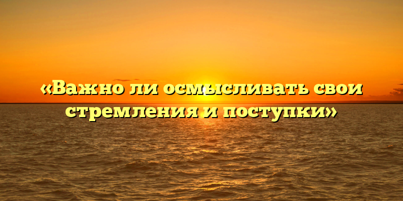 «Важно ли осмысливать свои стремления и поступки»