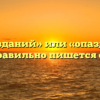 «Без опозданий» или «опазданий» — как правильно пишется слово?