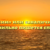 «В наличии» или «вналичии» — как правильно пишется слово?