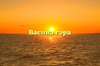 Васина гора