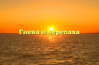 Гиена и черепаха