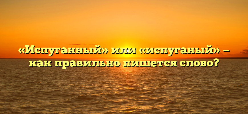 «Испуганный» или «испуганый» — как правильно пишется слово?