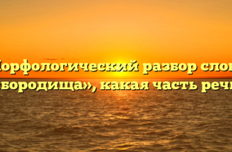 Морфологический разбор слова «бородища», какая часть речи