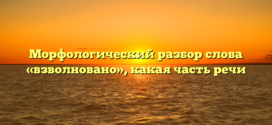 Морфологический разбор слова «взволновано», какая часть речи