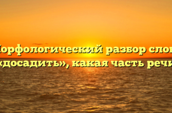 Морфологический разбор слова «досадить», какая часть речи