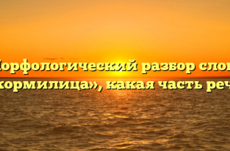 Морфологический разбор слова «кормилица», какая часть речи