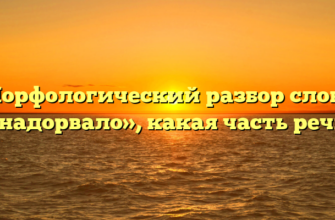 Морфологический разбор слова «надорвало», какая часть речи