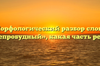 Морфологический разбор слова «непробудный», какая часть речи