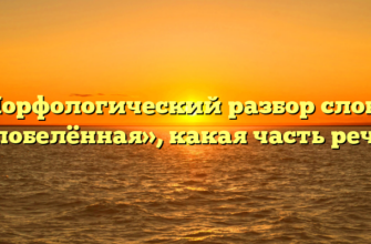 Морфологический разбор слова «побелённая», какая часть речи