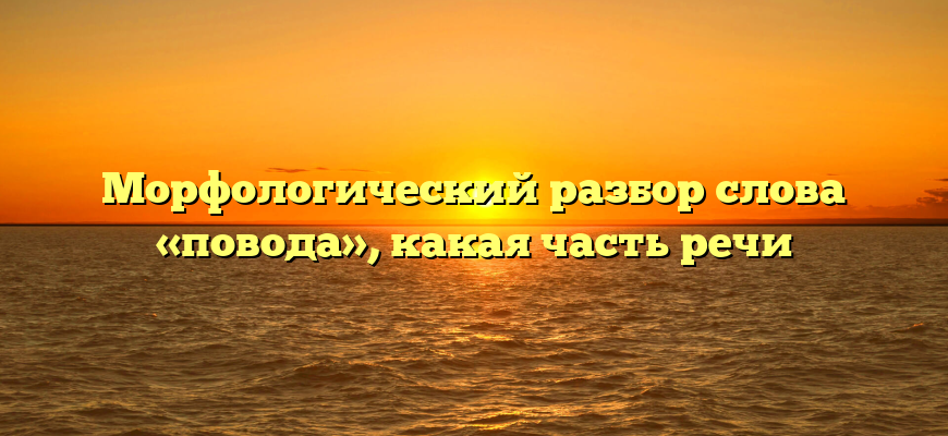 Морфологический разбор слова «повода», какая часть речи