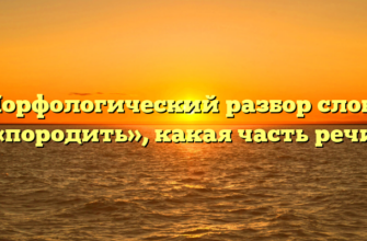 Морфологический разбор слова «породить», какая часть речи