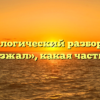 Морфологический разбор слова «приезжал», какая часть речи