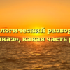 Морфологический разбор слова «приказ», какая часть речи