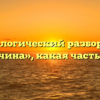 Морфологический разбор слова «причина», какая часть речи