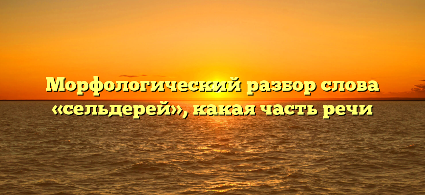 Морфологический разбор слова «сельдерей», какая часть речи