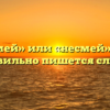 «Не смей» или «несмей» — как правильно пишется слово?