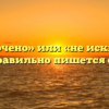 «Неисключено» или «не исключено» — как правильно пишется слово?