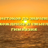 От истоков до значений: происхождение и смысл слова гимназия