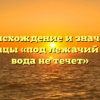 Происхождение и значение пословицы «под лежачий камень вода не течет»