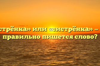 «Сестрёнка» или «систрёнка» — как правильно пишется слово?