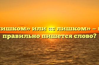 «Слишком» или «с лишком» — как правильно пишется слово?