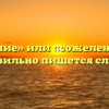 «Сожаление» или «сожеление» — как правильно пишется слово?