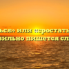 «Срастаться» или «сростаться» — как правильно пишется слово?