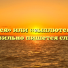 «Сыпятся» или «сыплются» — как правильно пишется слово?