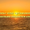 «Угомонись» или «угамонись» — как правильно пишется слово?