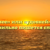 «Удобнее» или «удобней» — как правильно пишется слово?