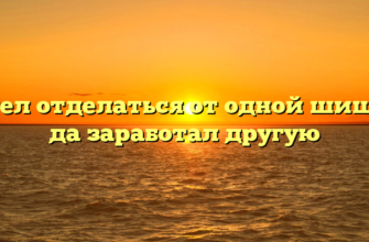 Хотел отделаться от одной шишки, да заработал другую