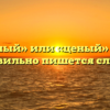 «Ценный» или «ценый» — как правильно пишется слово?